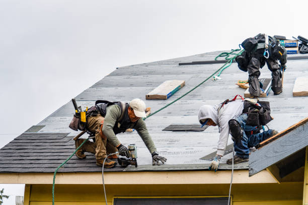 Professional Roof Installation technician working in Douglas, MI